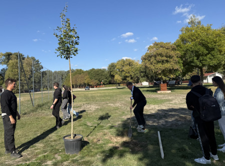 Vsak partner projekta je zasadil drevo ob Donavi